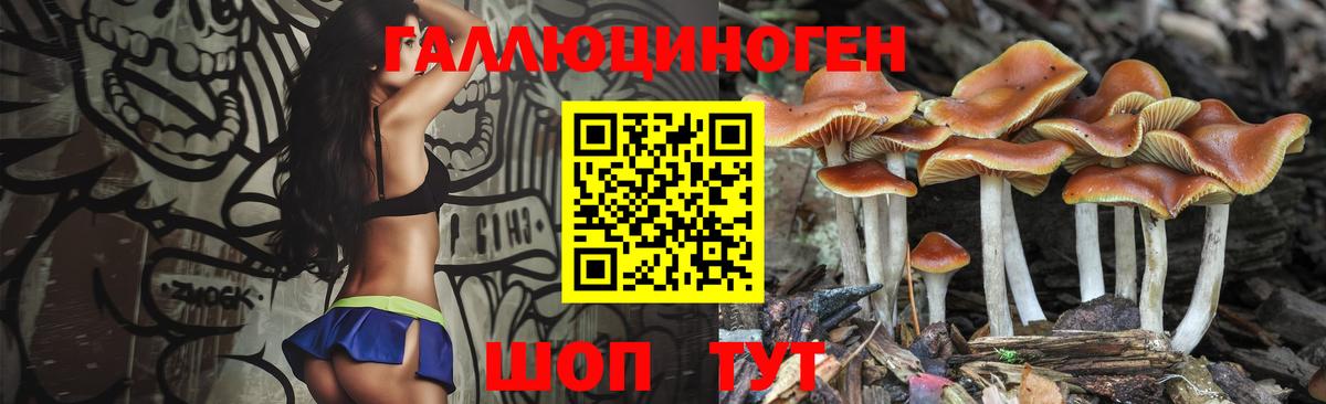 где купить   Галлюциногенные грибы Psilocybine cubensis  Вход с VPN  Борисоглебск 
